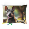 Pet Bed – Plush Dog Bed, 3 Size Options