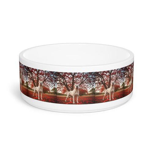 Ceramic Pet Bowl – 16 oz Dog Feeding Bowl