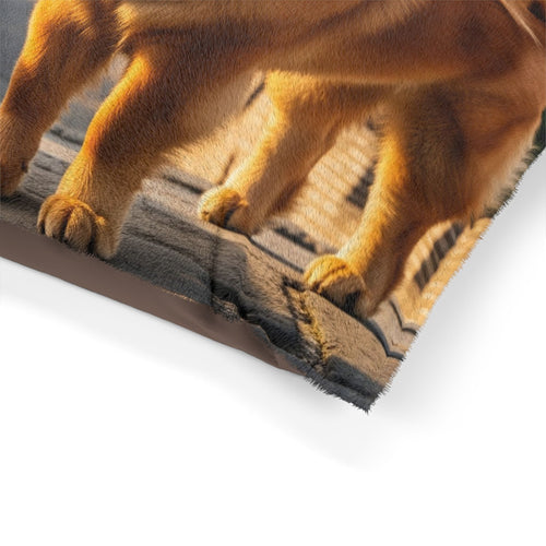 Chow Chow Pet Bed