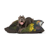 Australian Cattle Dog Pet Bed