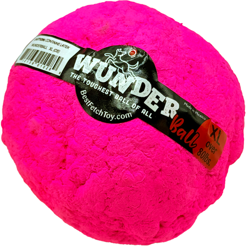 WUNDERBALL - Best Fetch Toy