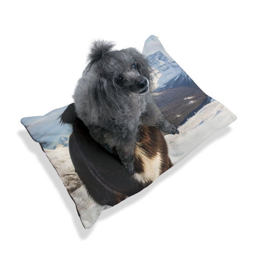 Newfoundland Pet Bed