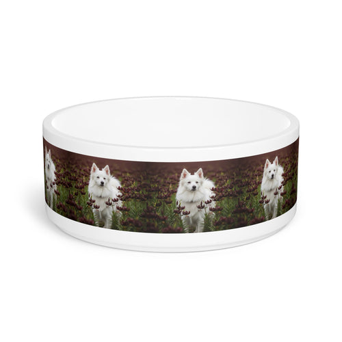 Ceramic Pet Bowl – 16 oz Dog Feeding Bowl