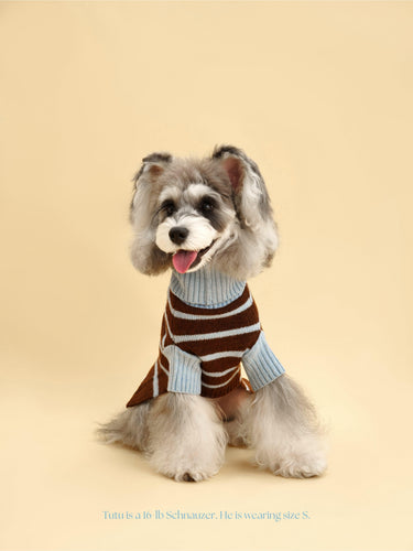 Bluebell Stripes Sweater