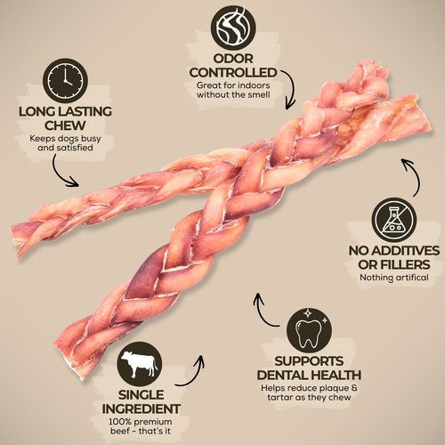 12 Inch Standard Braided Bully Stick