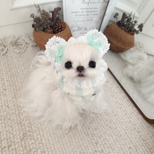 Cotton Dog Snood for Long Ears and Mealtimes