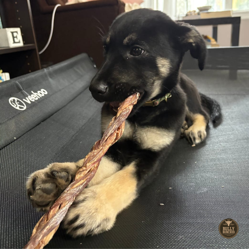 12 Inch Braided Jerky Stick