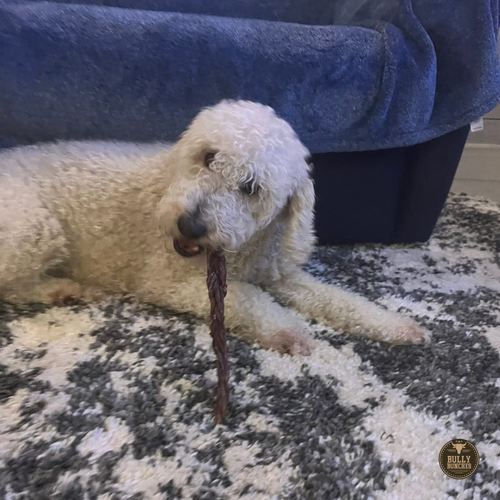 12 Inch Braided Jerky Stick