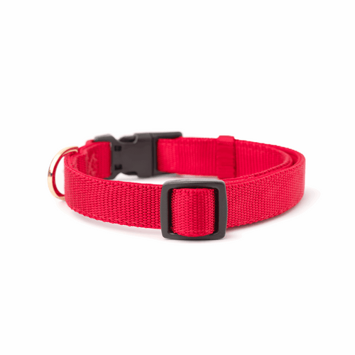 City Collar - Iconic Red
