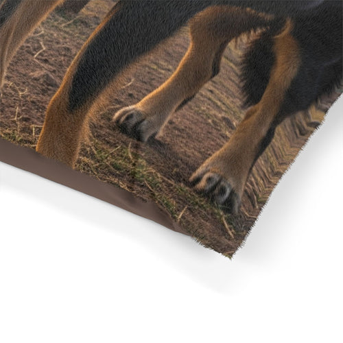 Bakharwal Pet Bed