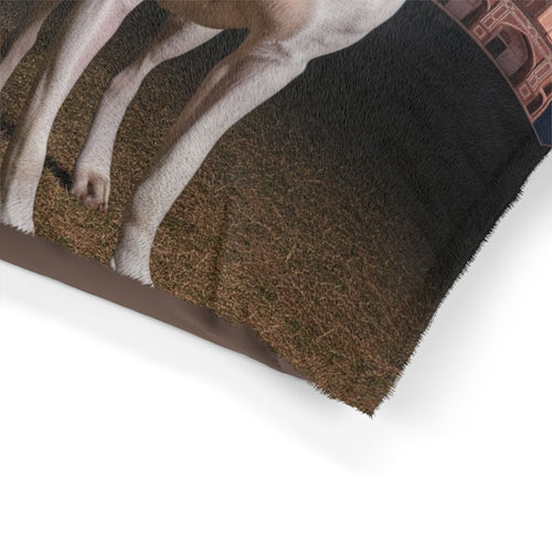 Gull Dong Pet Bed