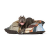 Norwegian Lundehund Pet Bed