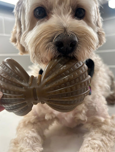 Ocean Theme Indestructible Chew Toy- For Tough Chewers