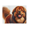 Sweatshirt Blanket – Plush Fleece Throw, 2 Size Options