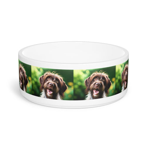 Ceramic Pet Bowl – 16 oz Dog Feeding Bowl