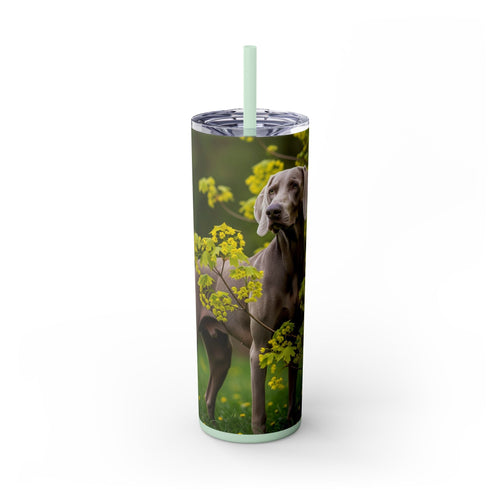 Skinny Tumbler with Straw – 20 oz Stainless Steel Cup