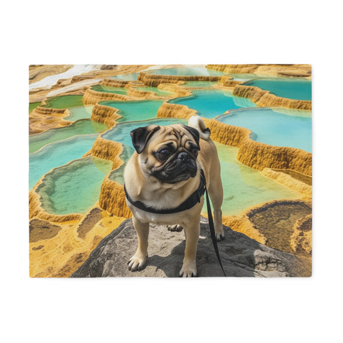 Pug Blanket