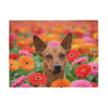 Sweatshirt Blanket – Plush Fleece Throw, 2 Size Options
