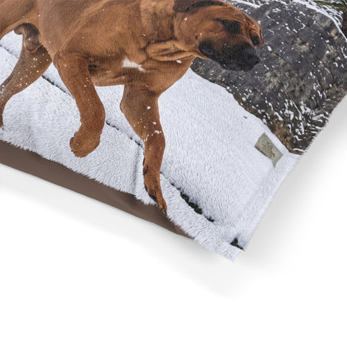 Tosa Pet Bed