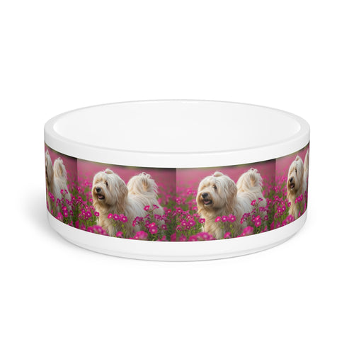 Ceramic Pet Bowl – 16 oz Dog Feeding Bowl