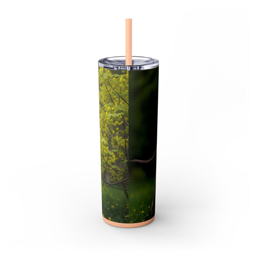 Skinny Tumbler with Straw – 20 oz Stainless Steel Cup