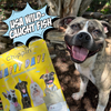 Birthday Dog Treats, 4-Pack