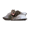 Japanese Terrier Pet Bed
