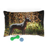 Xoloitzcuintli Pet Bed