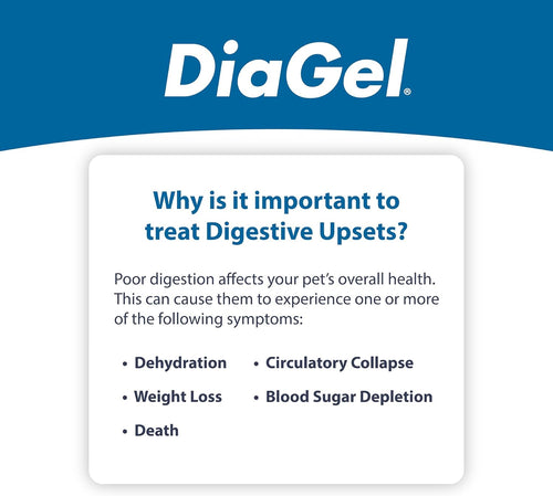 DiaGel Diarrhea Control Gel 1 ml Small Dogs Digestive Upset Loose Stool Relief