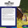 ADM Forage First Horse Rewards Apple Flavored Horse Treat 3lbs.
