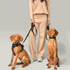 The NoMad Adjustable Luxe Harness - Rockstar