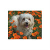Sweatshirt Blanket – Plush Fleece Throw, 2 Size Options