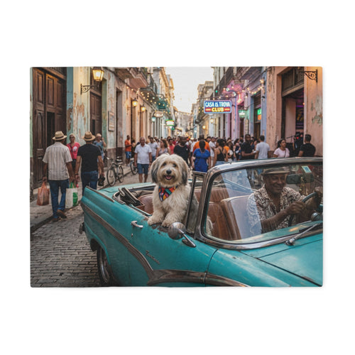Havanese Blanket
