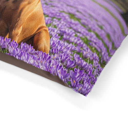 Pet Bed – Plush Dog Bed, 3 Size Options