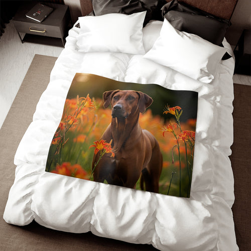 Sweatshirt Blanket – Plush Fleece Throw, 2 Size Options
