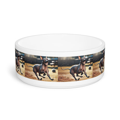 Ceramic Pet Bowl – 16 oz Dog Feeding Bowl