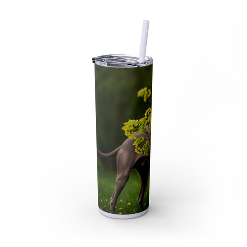 Skinny Tumbler with Straw – 20 oz Stainless Steel Cup