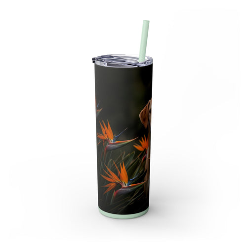 Skinny Tumbler with Straw – 20 oz Stainless Steel Cup
