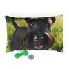 Pet Bed – Plush Dog Bed, 3 Size Options