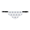 Cats For Democracy Bandana and Collar