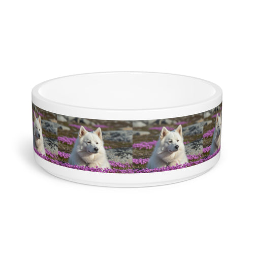 Ceramic Pet Bowl – 16 oz Dog Feeding Bowl