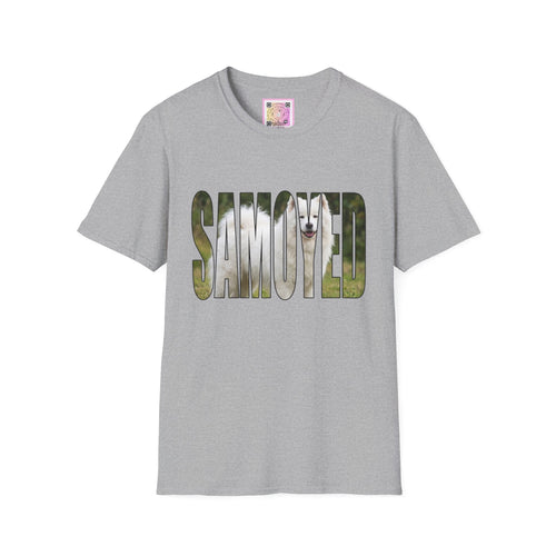 Samoyed Tee Shirt