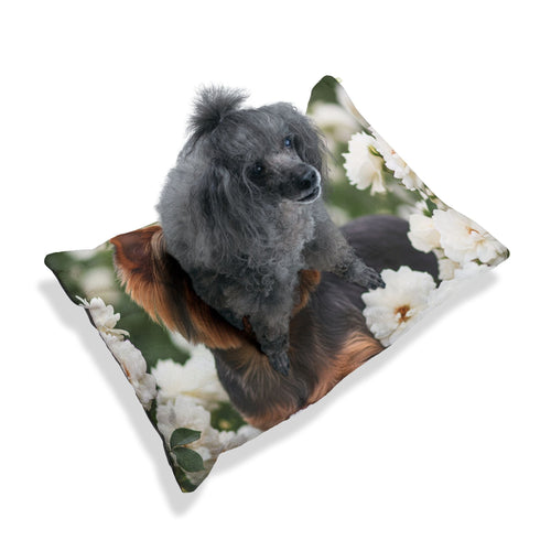 Pet Bed – Plush Dog Bed, 3 Size Options
