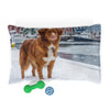 Nova Scotia Duck Tolling Retriever Pet Bed