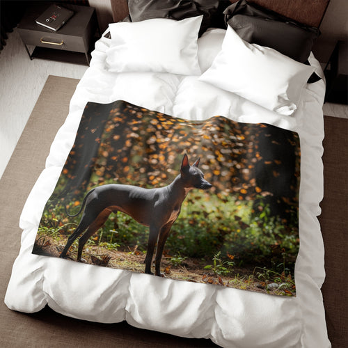 Xoloitzcuintli Blanket