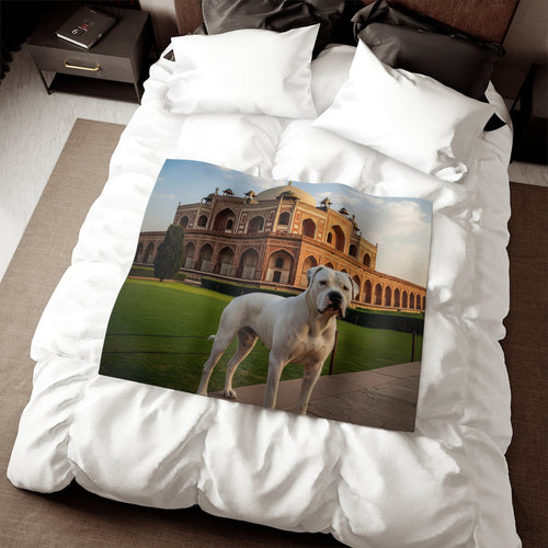 Gull Dong Blanket