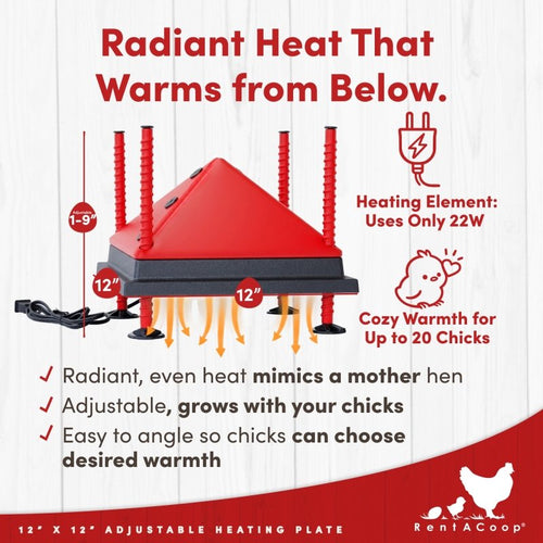 RentACoop 12x12” Adjustable Heating Plate with Bonus Foldable Anti-Roost Cone for up to 20 Chicks