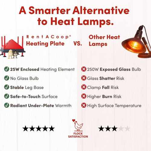 RentACoop 12x12” Adjustable Heating Plate with Bonus Foldable Anti-Roost Cone for up to 20 Chicks