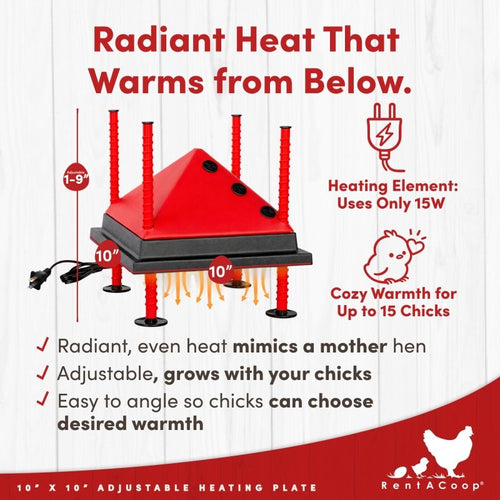 RentACoop 10x10” Adjustable Heating Plate with Bonus Foldable Anti-Roost Cone for up to 15 Chicks