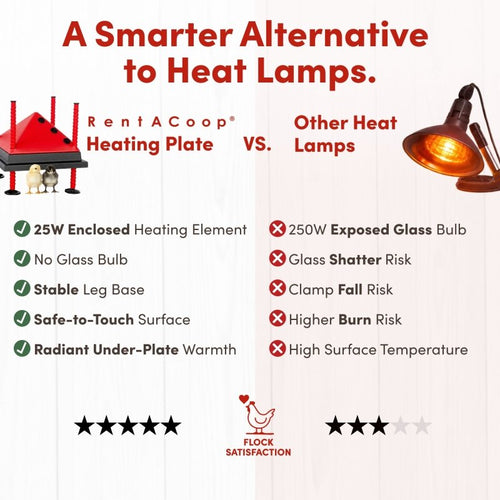 RentACoop 10x10” Adjustable Heating Plate with Bonus Foldable Anti-Roost Cone for up to 15 Chicks